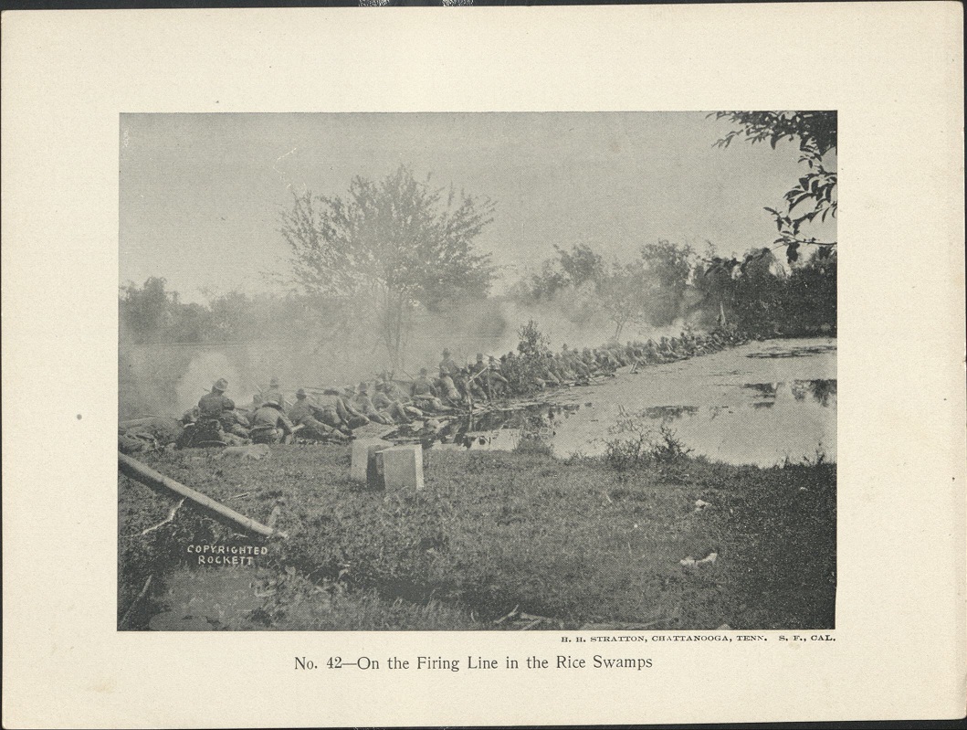 No. 42 – On the firing line in the rice swamps.