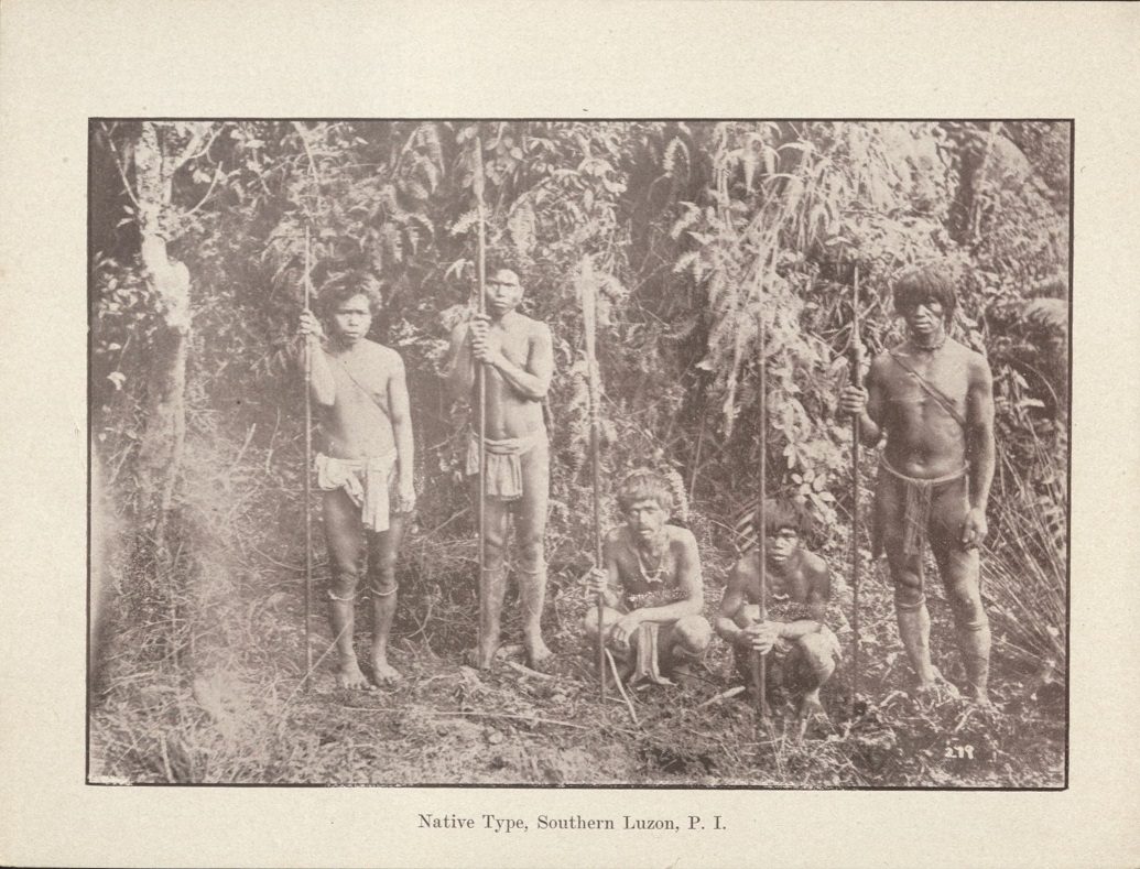 Native type, Southern Luzon, P. I.