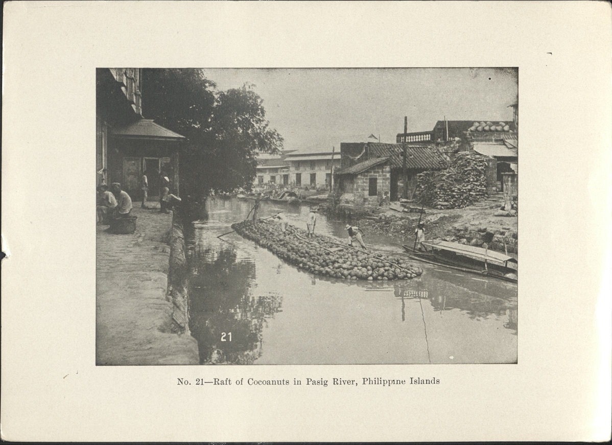 No. 21 – Raft of cocoanuts [coconuts] in Pasig River, Philippine Islands.