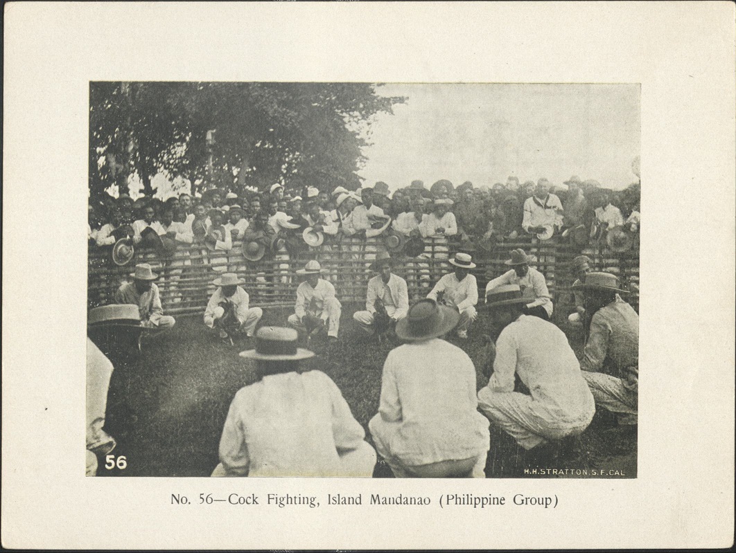 No. 56 – Cock fighting, Island Mandanao [Mindanao] (Philippine group).
