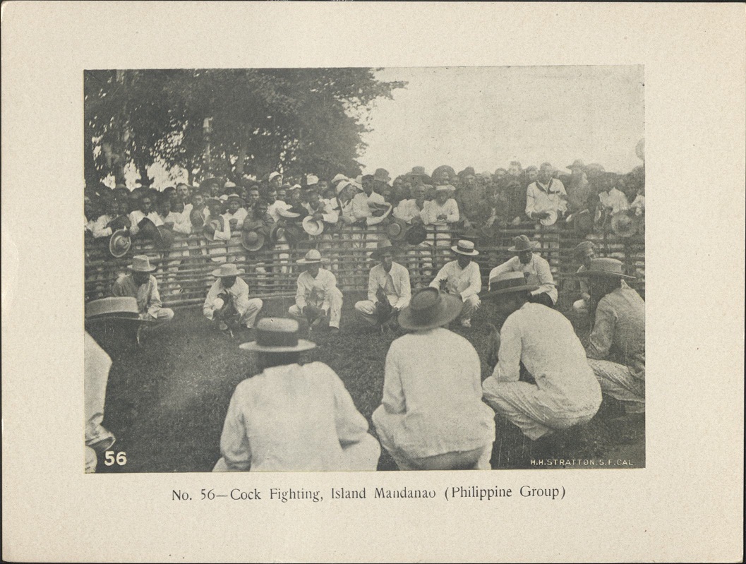 No. 56 – Cock fighting, Island Mandanao [Mindanao] (Philippine group).