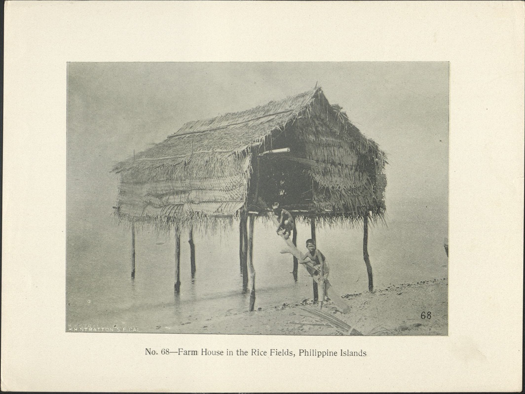 No. 68 – Farm house in the rice fields, Philippine Islands.