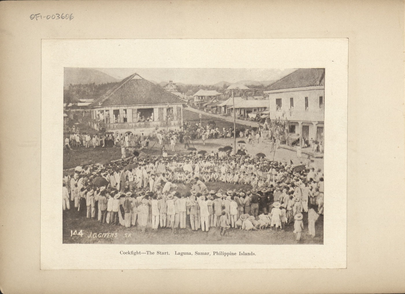 144. Cockfight – The start, Laguna [Laguan], Samar, Philippine Islands.