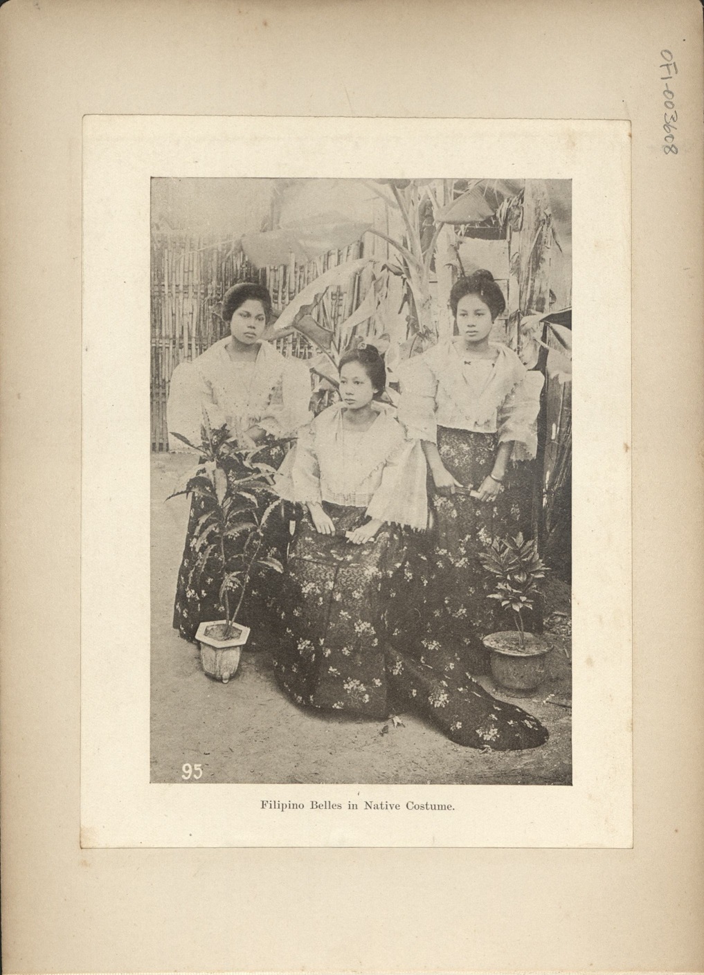 95. Filipino belles in native costume.