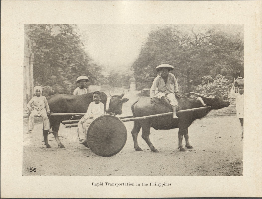 56. Rapid transportation in the Philippines.