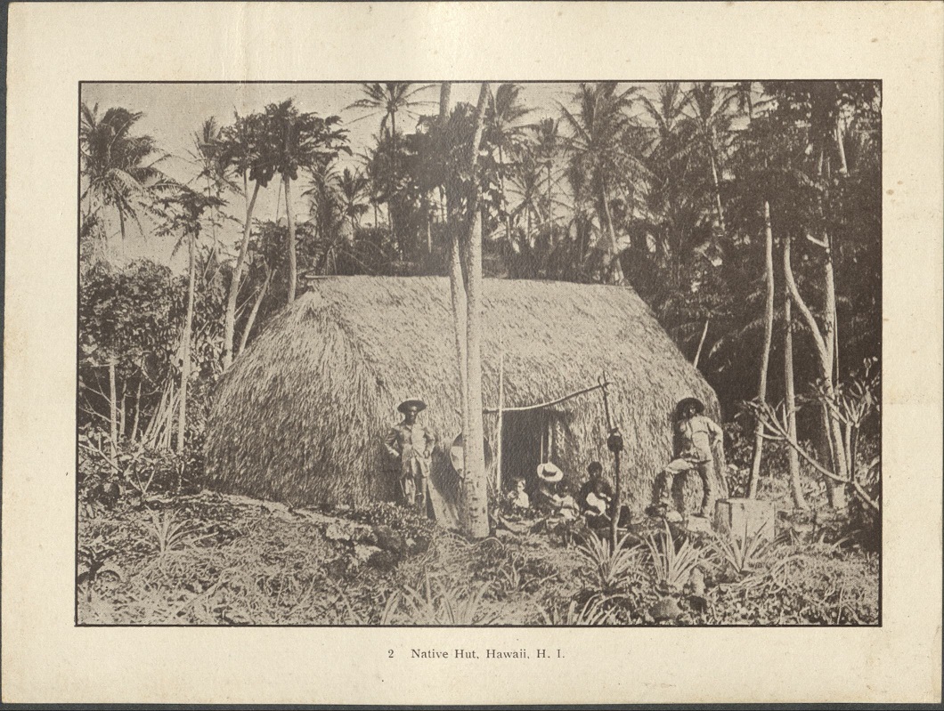 2. Native hut, Hawaii, H. I.