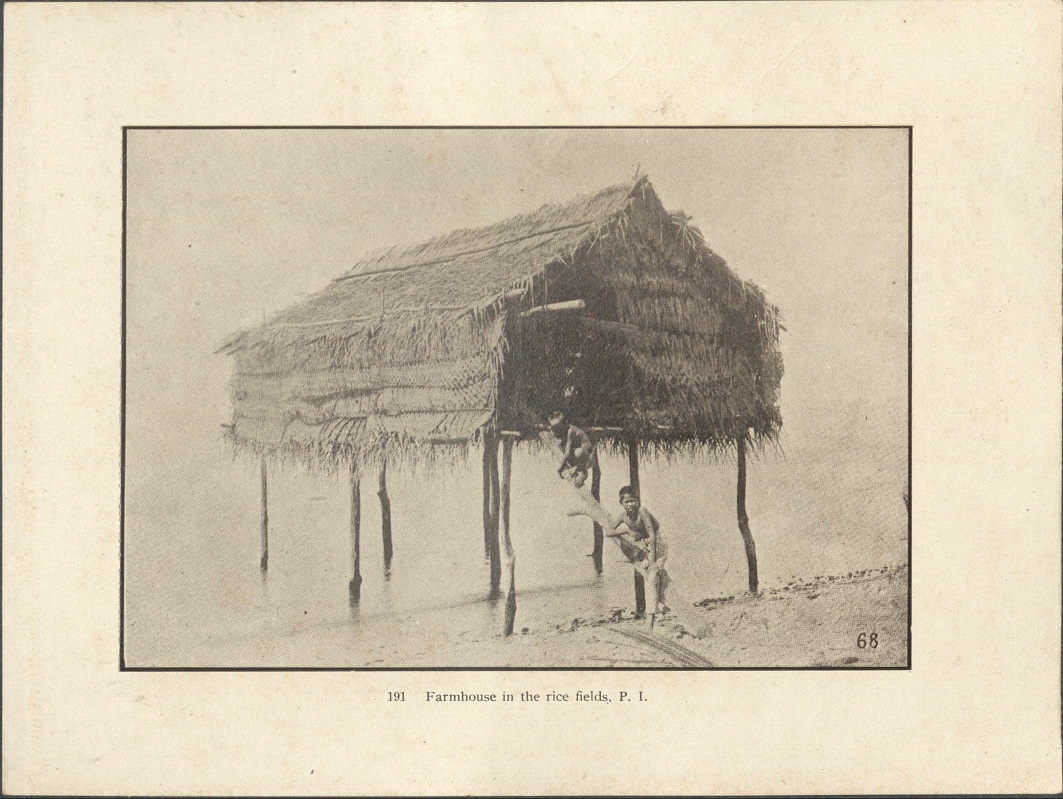 191. Farmhouse in the rice fields, P .I.