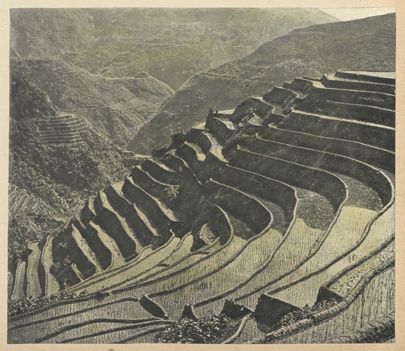 Ifugao rice terraces – Northern Luzon.