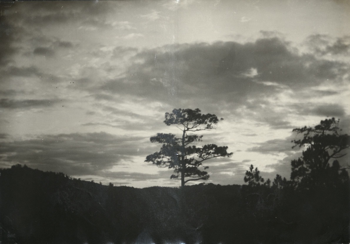 Sunrise in Baguio.