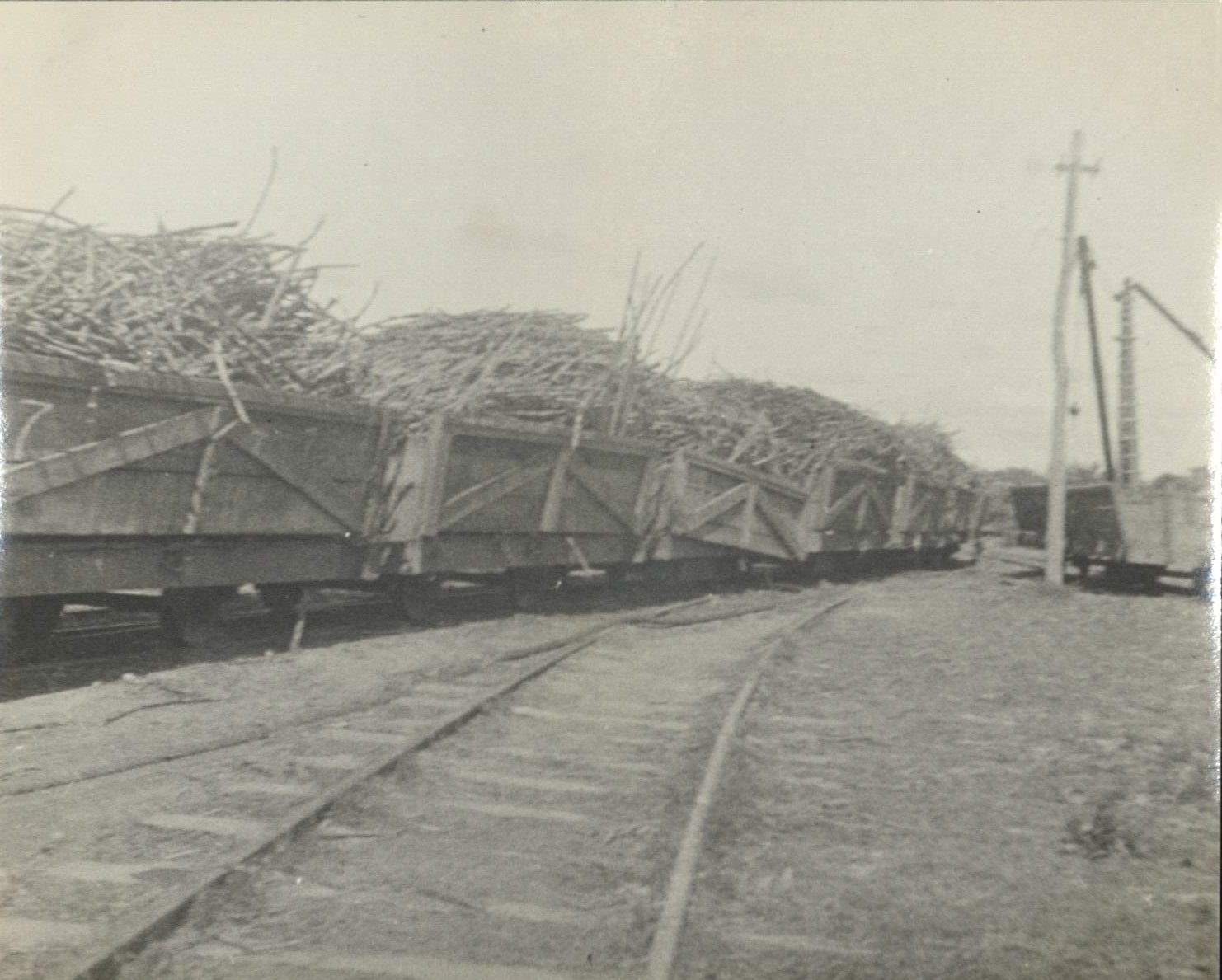 Sugar cane on the way to the mill.