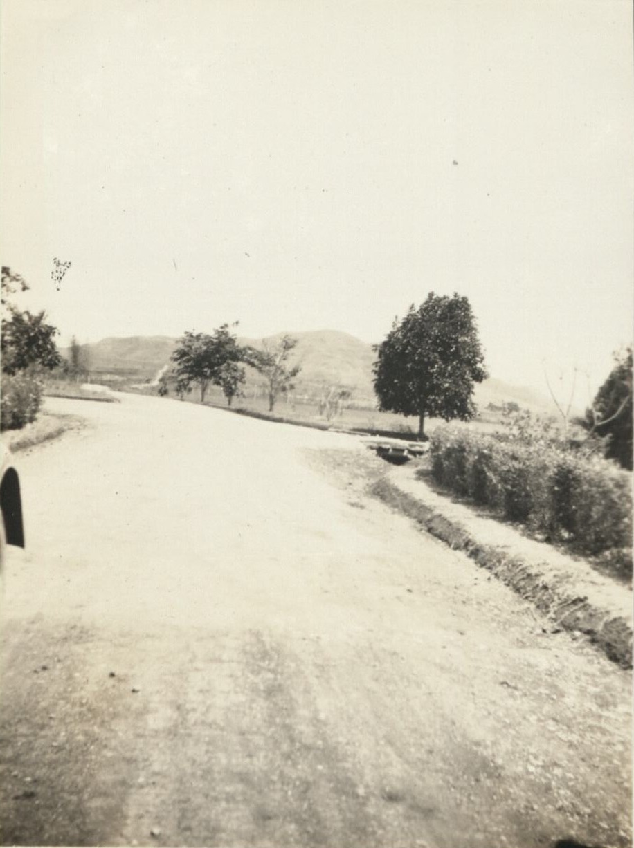 Del Monte.