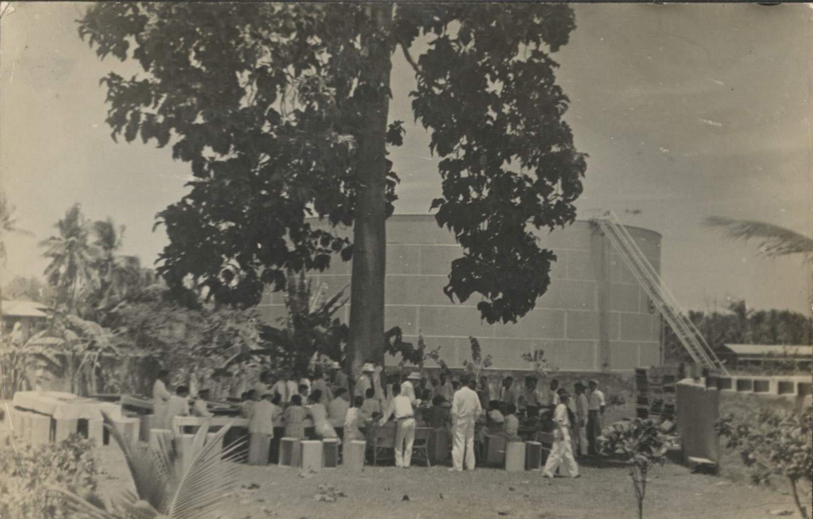 [Untitled – Big storage tank and tree].