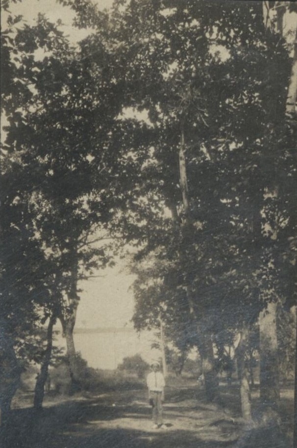 {Untitled – Man standing under street trees, Zamboanga?]