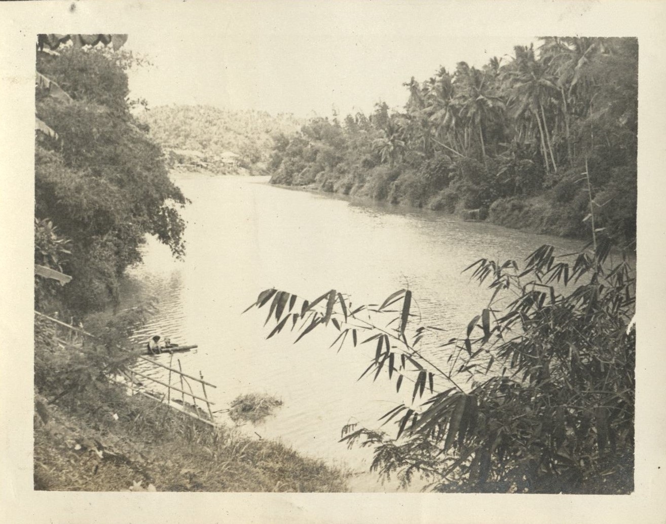 The largest coconut plantation on Earth. (Tayabas Province). And the Pagsanjan River running through it.