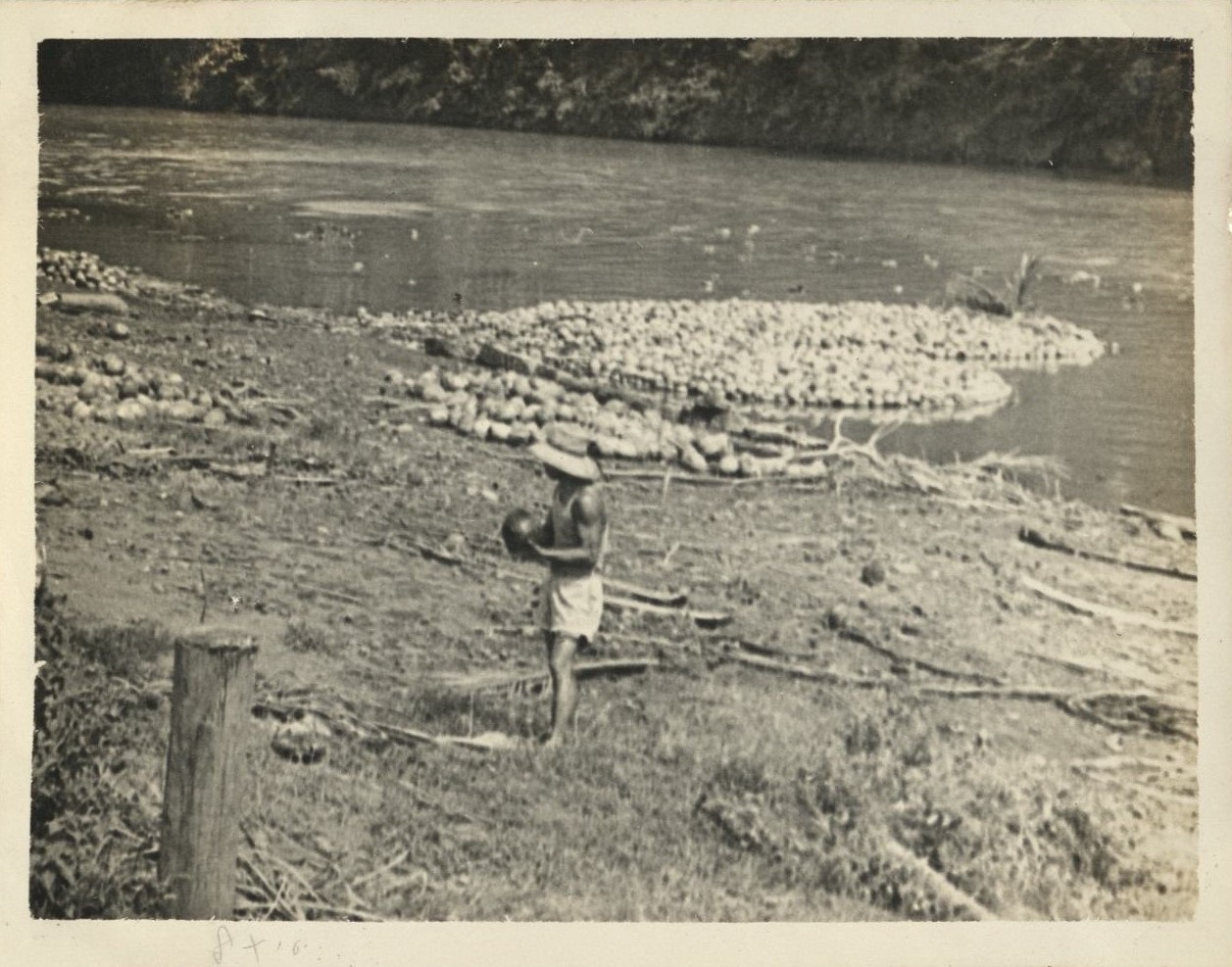 Floating coconuts down Pagsanjan River to Manila.