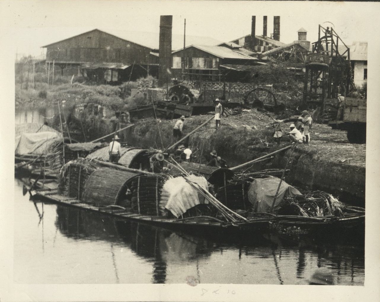 [Untitled – Unloading cascos – sugarcane at a sugar mill?].