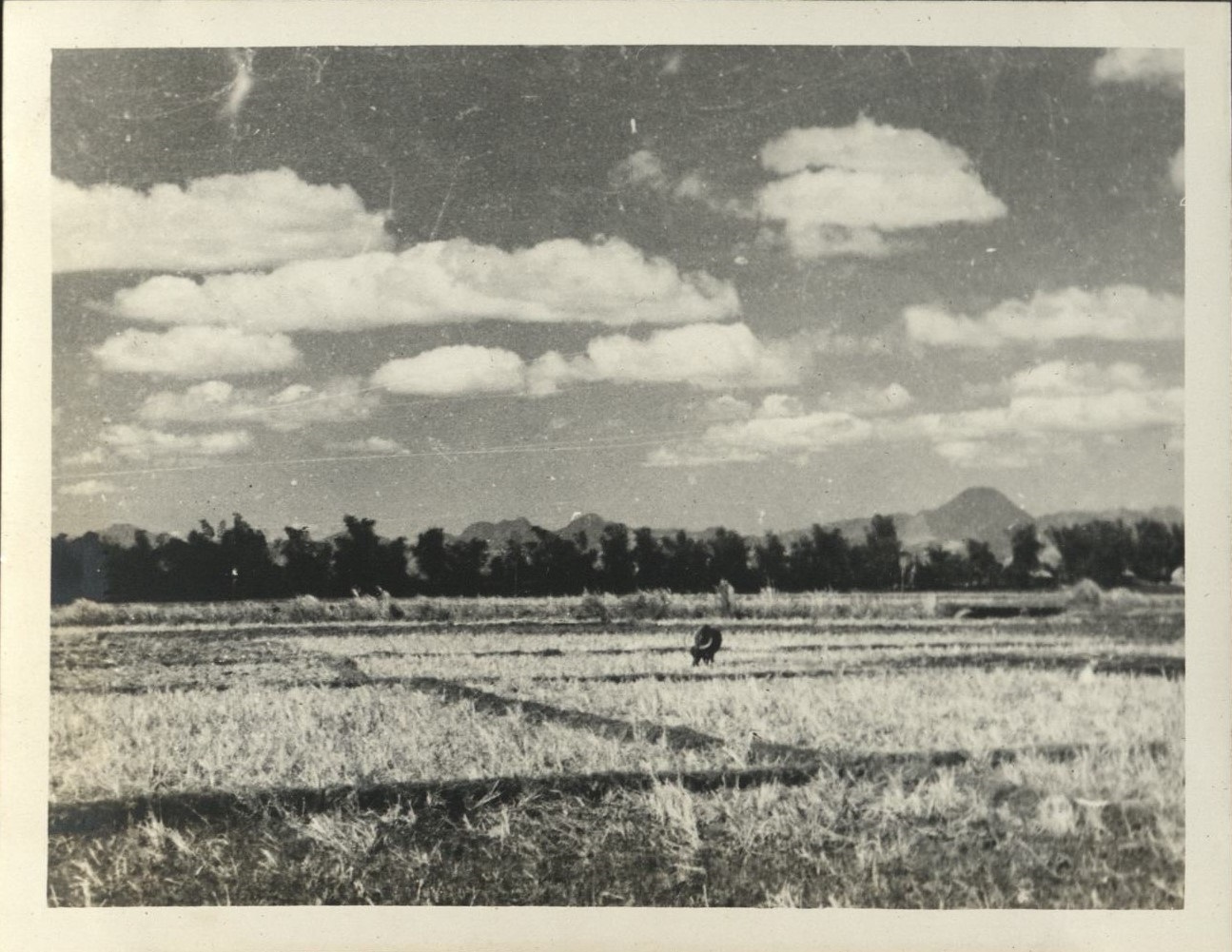 Remember Bataan? This is it. [Rice farming].