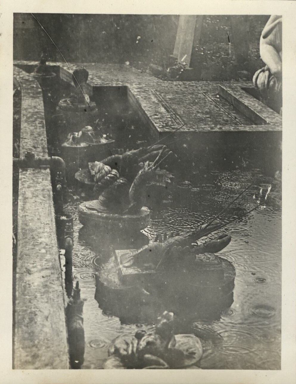 Estate of [Jose M. Ocampo in Quiapo – pond in garden with statues].