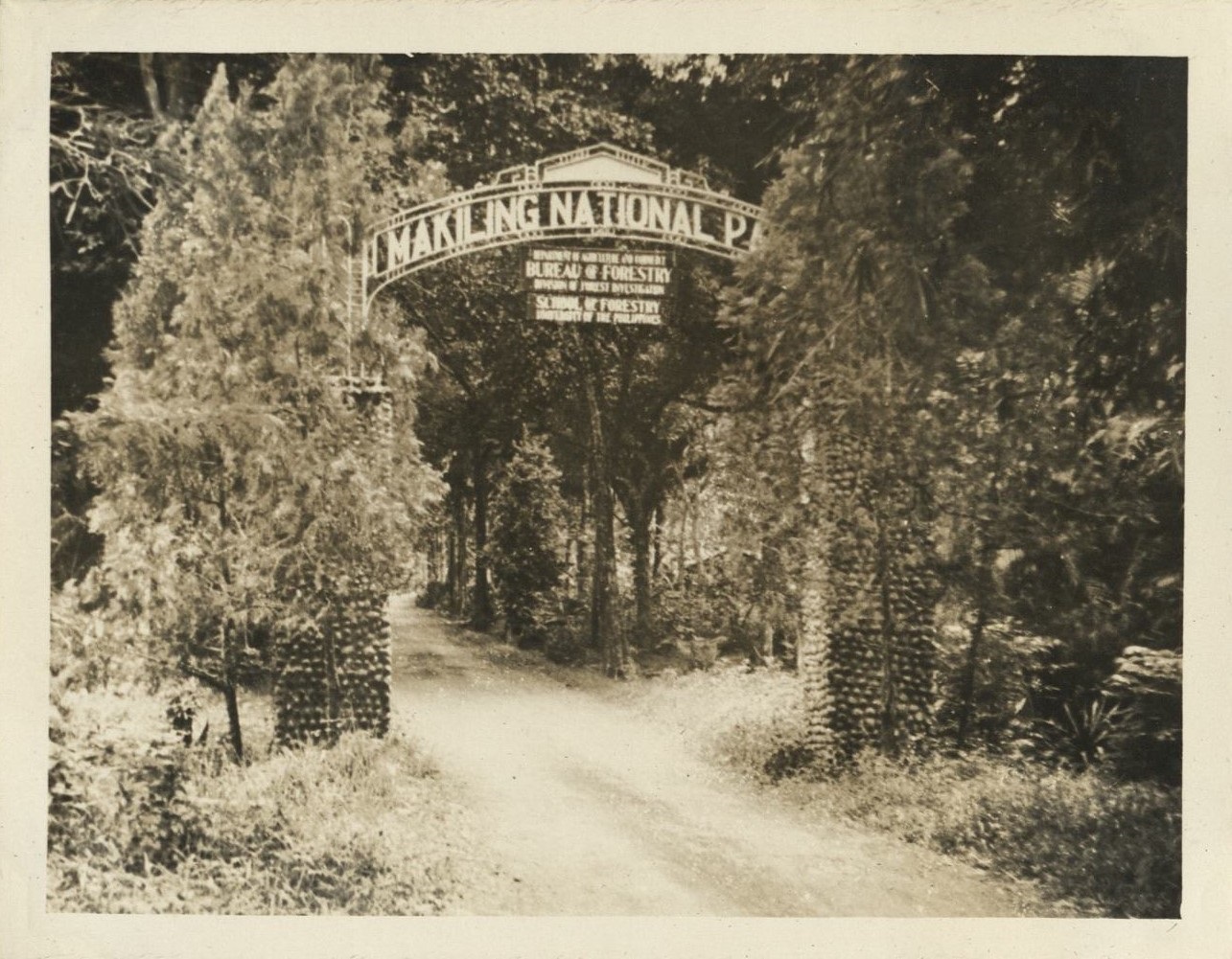 [Untitled – Entrance gate, Makiling National Park].