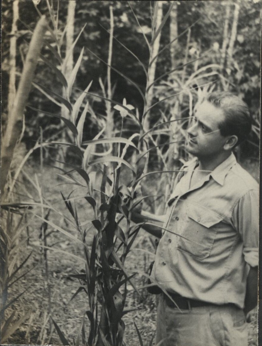 [Untitled – Soldier holding orchid, Makiling National Park].