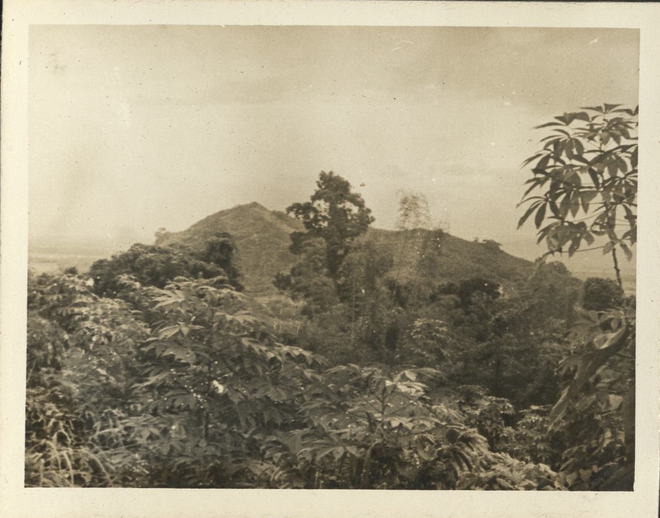 [Untitled – Jungle and mountain, Makiling National Park].