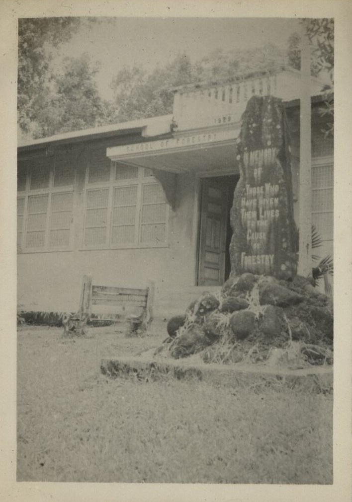 [Untitled – School of Forestry building, U.P. Los Banos].
