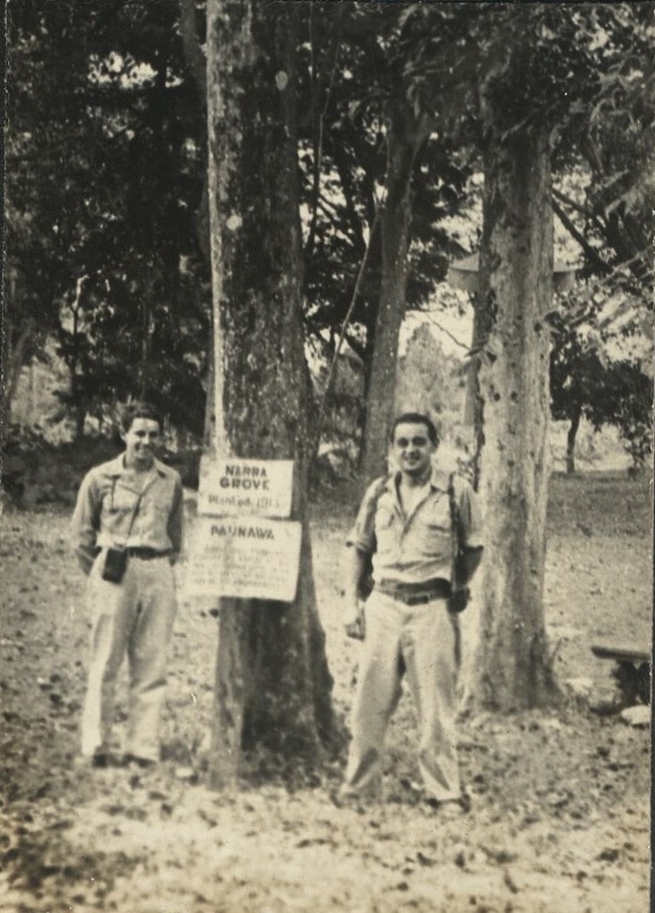 Narra (Philippine Mahogany) [sic].