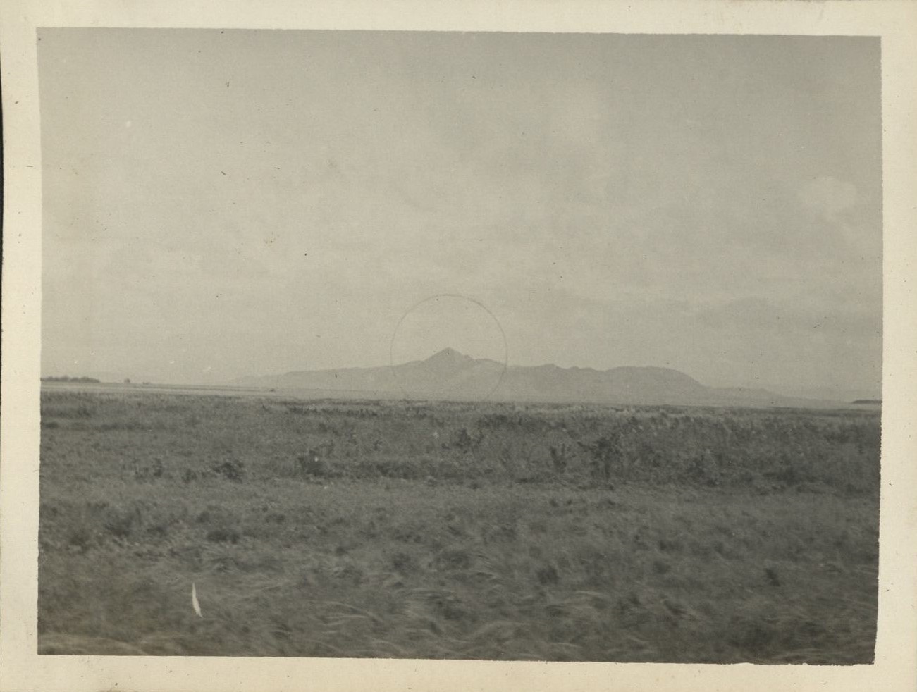 Mt. Susong Dalaga [Mount Tagapo].