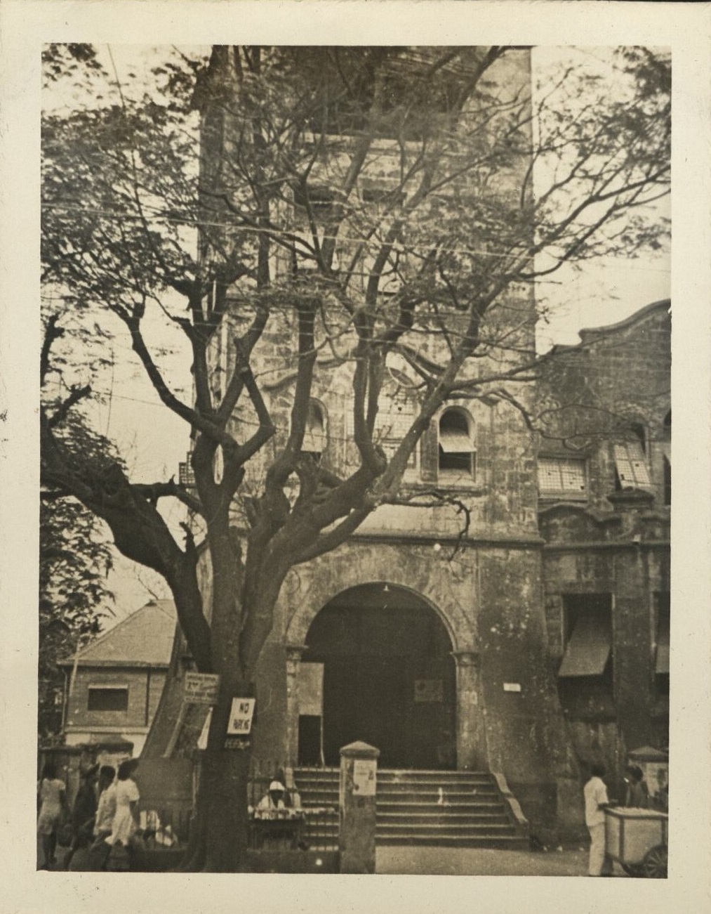 [Untitled – Street tree outside unidentified church and bell tower].