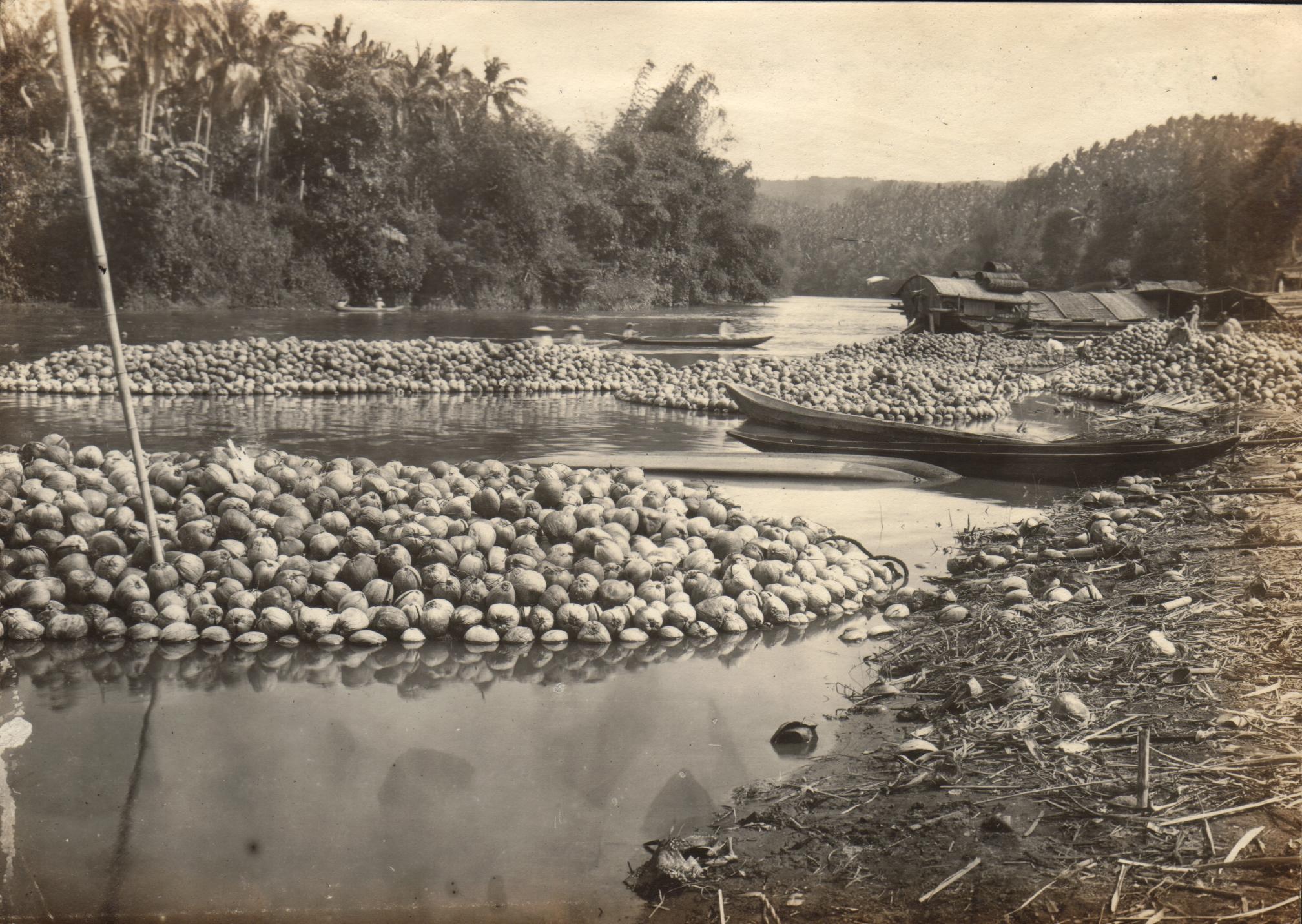 Coconut raft. Pagsanjan, Laguna Province.