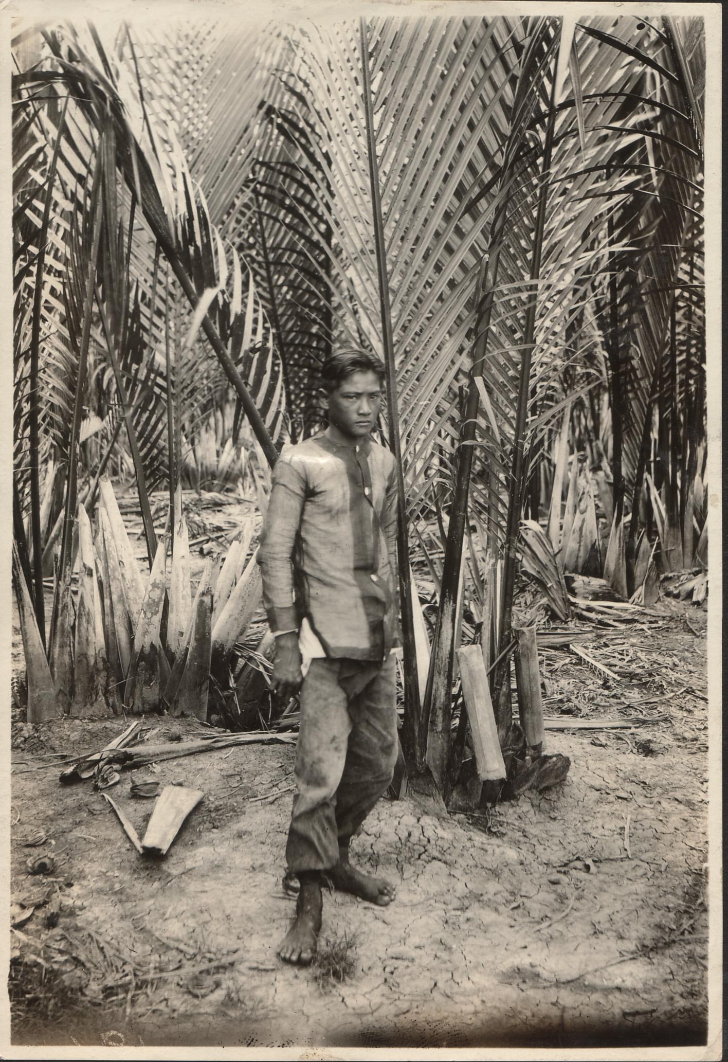 [Untitled – Man poses with nipa palms].