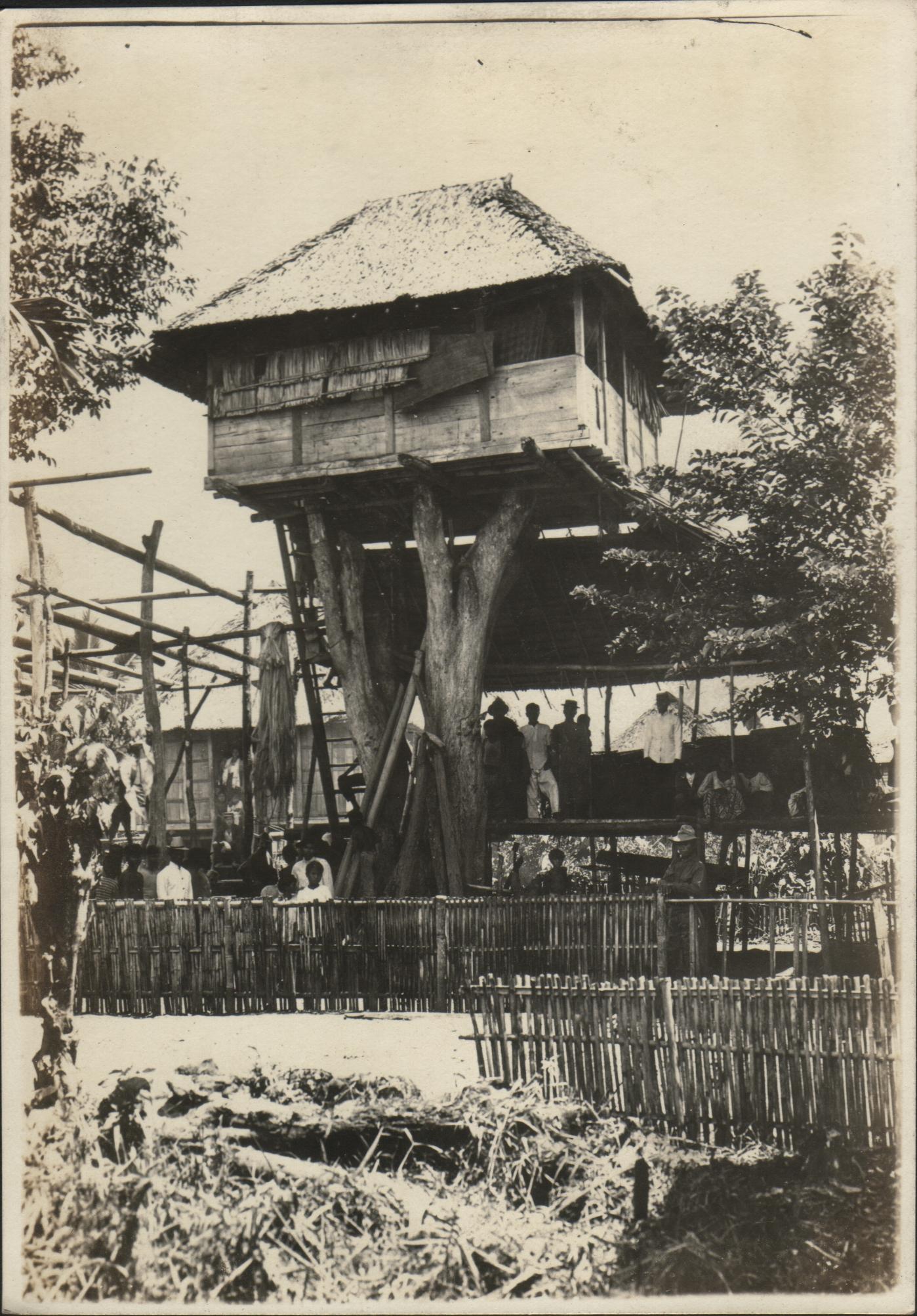 A Manobo tree-house seen from the west, Loreto.
