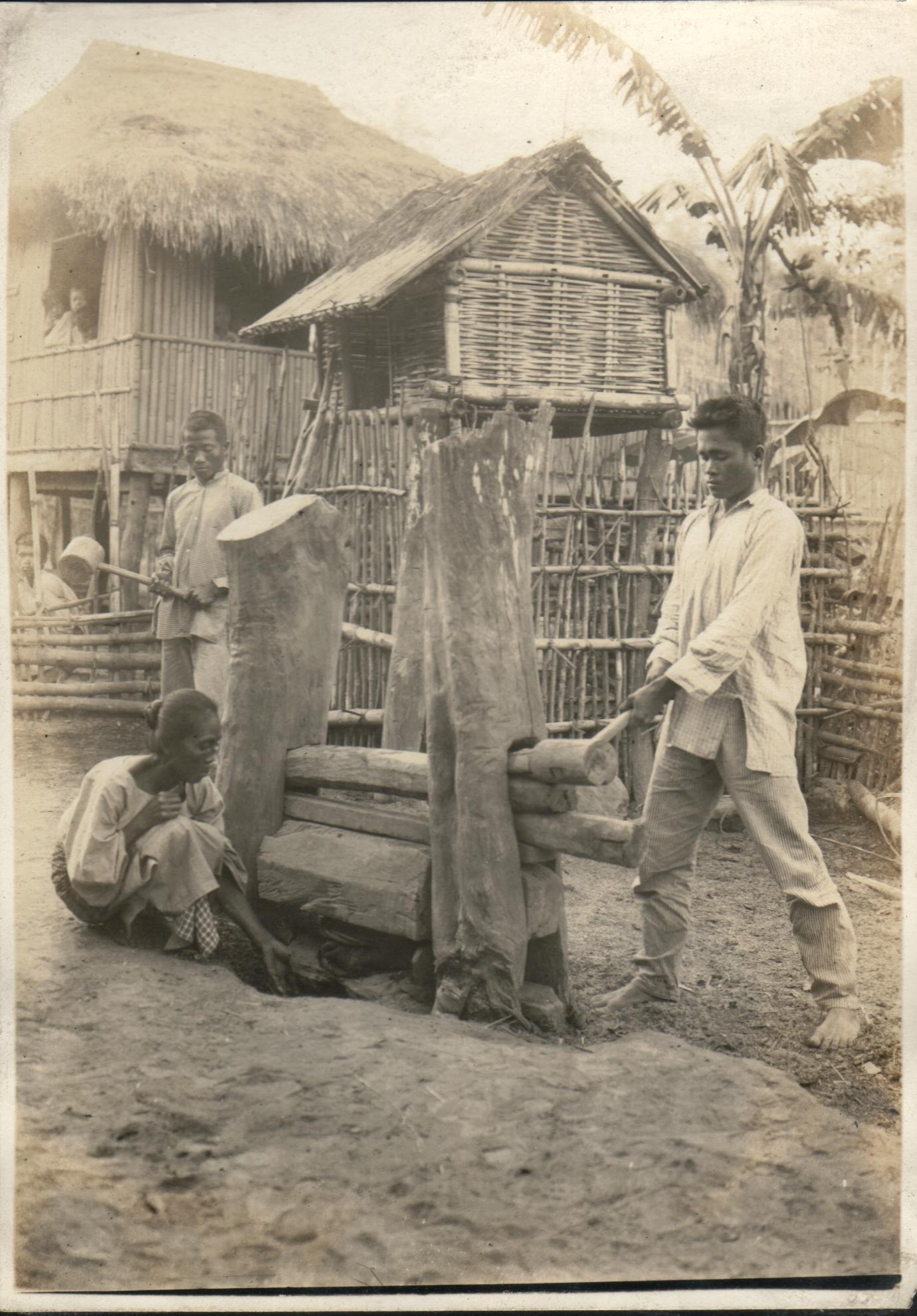 Method of making oil. Barrio Lipay, Vintar, Ilocos Norte.
