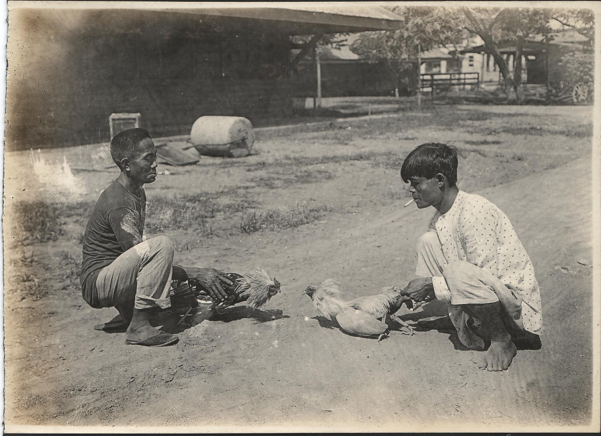 Two Filipino men with their fighting cocks, Manila, P. I.