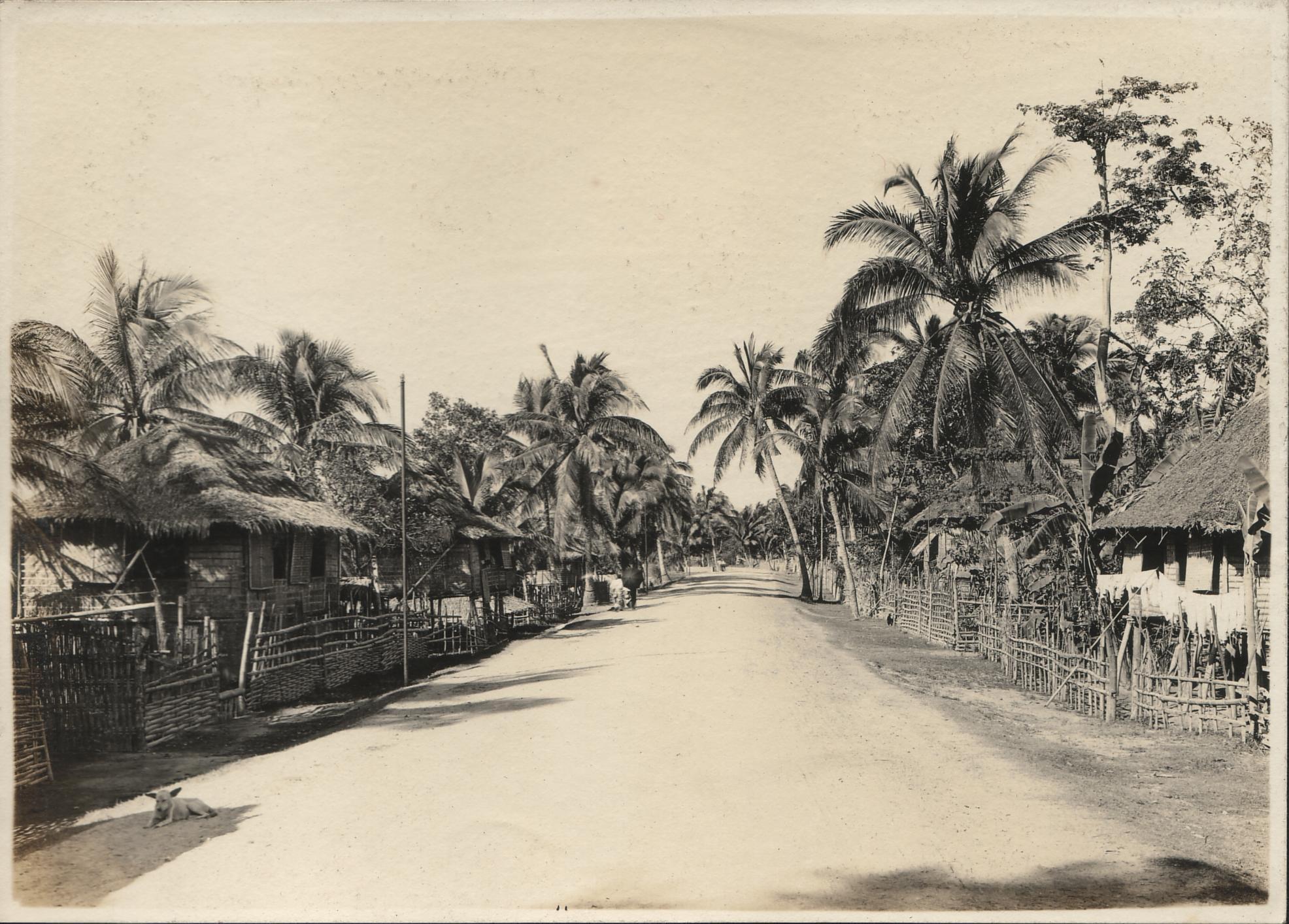A street, taken between Binmaley and Lingayan.