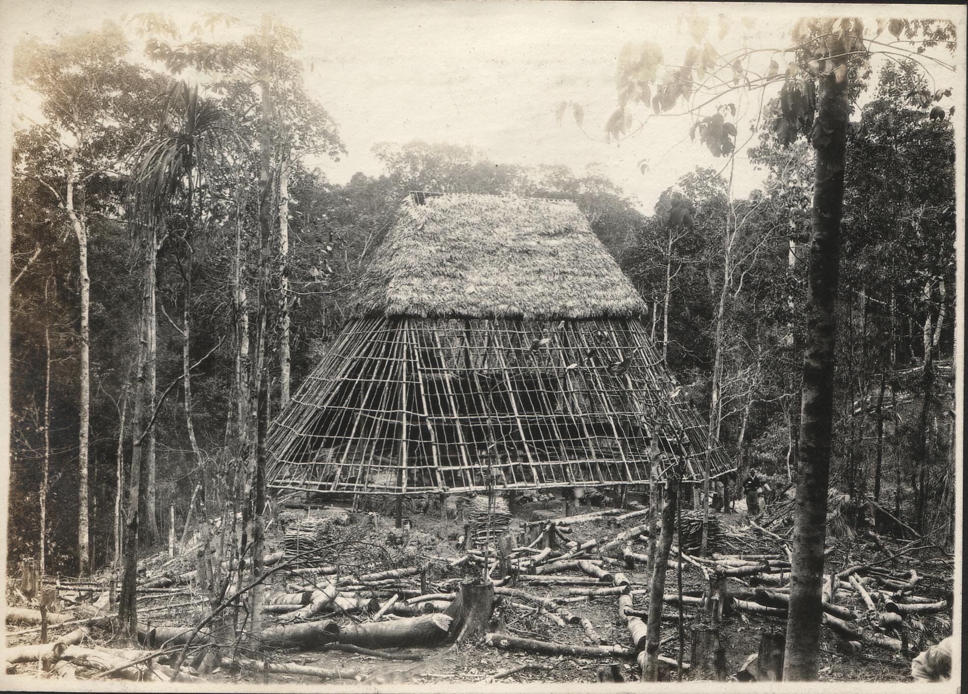 [Untitled – Building a thatched roof in a forest clearing].