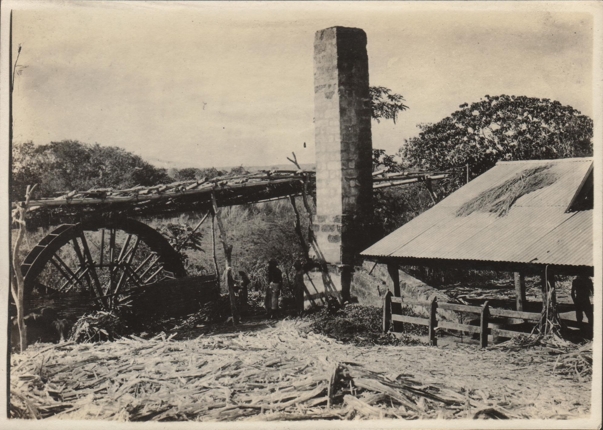 Sugarcane mill in operation,. Barrio Cabisuculan, Vintar [Ilocos Norte].