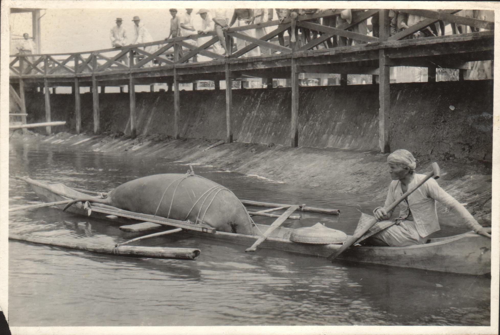 {Untitled – Fisherman with a shark (?) in his banca].