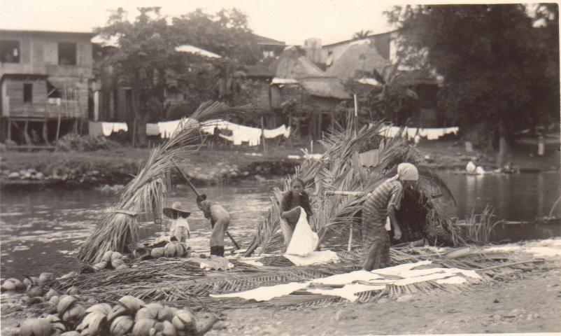 [Untitled – Drying laundry on palm fronds on a riverbank].