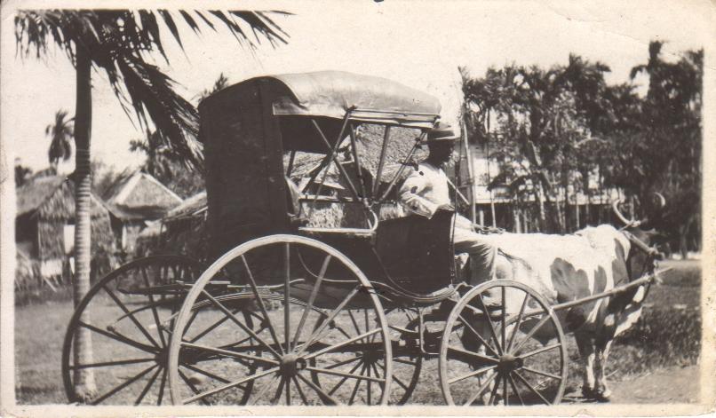 Method of travel on Negros [Coach].