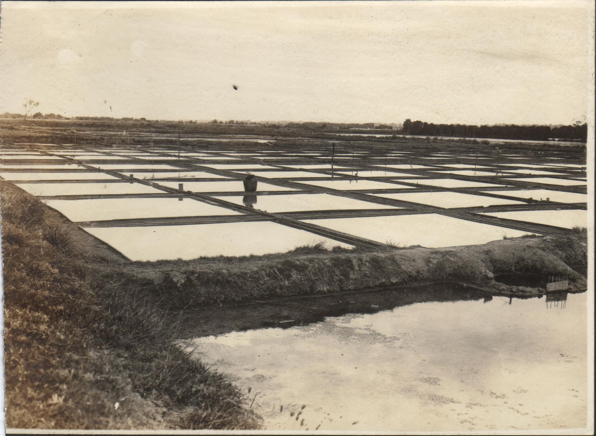 Salt works at Malabon, Rizal Province.