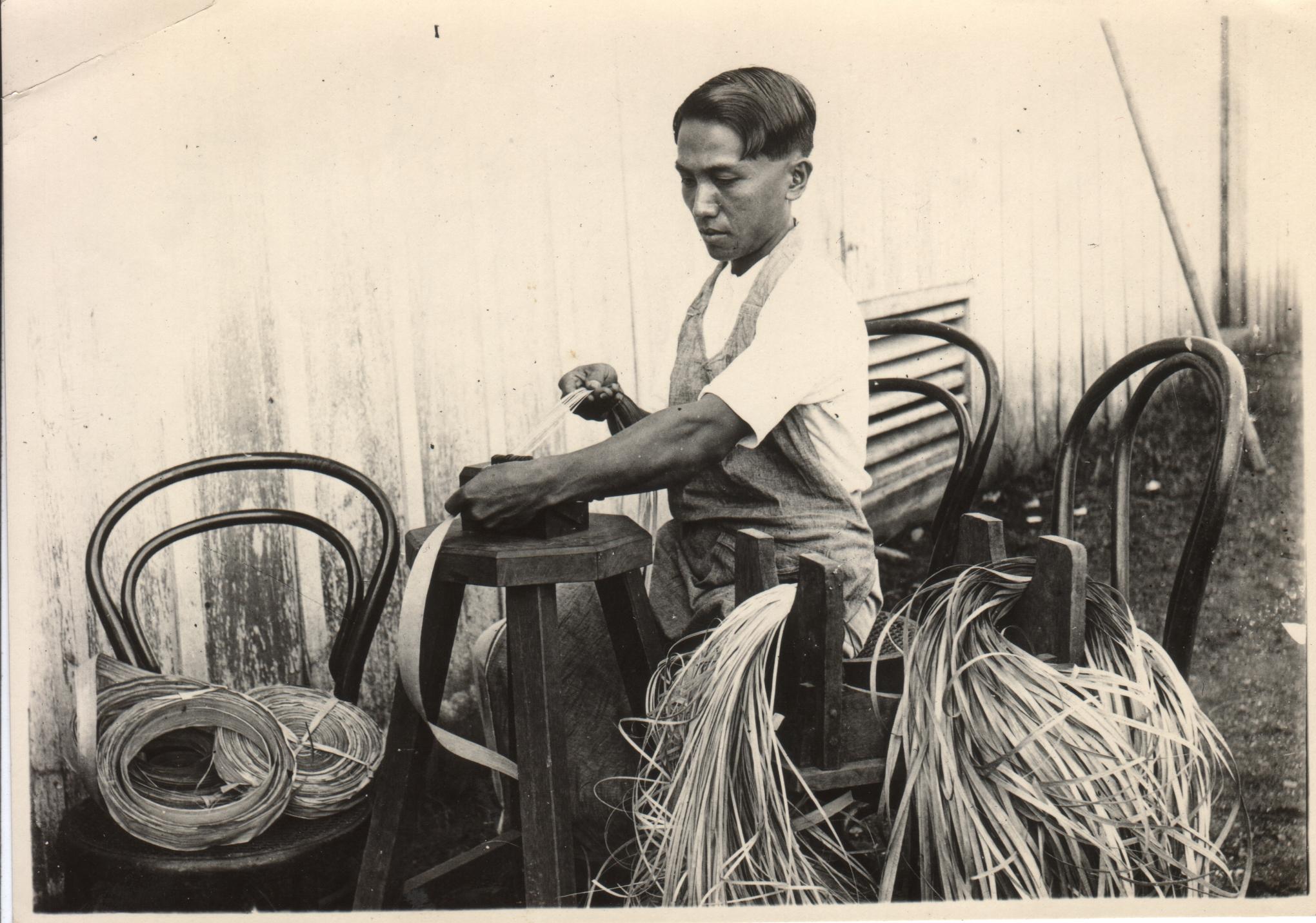 Stripping buri straw, new method. Manila.