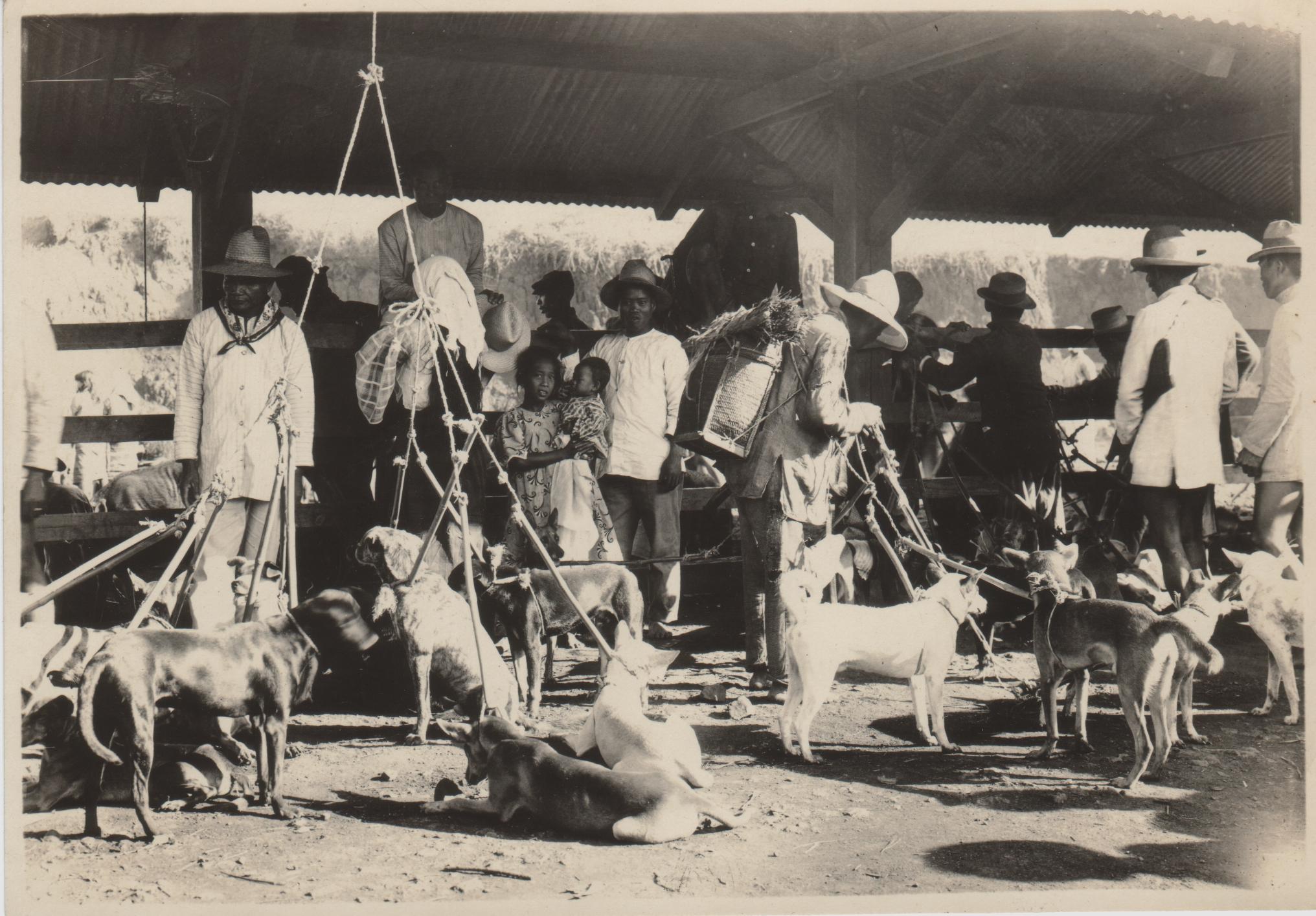 Dog market, Baguio.