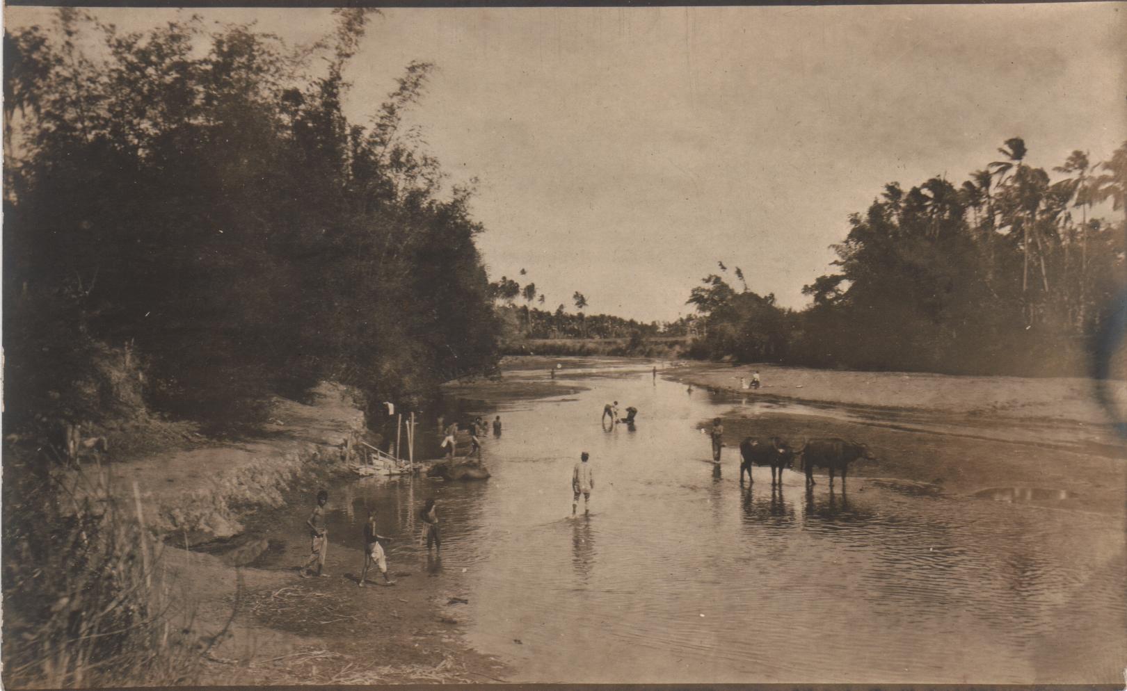 [Untitled – Carabao and people cooling and cleaning in a small river].