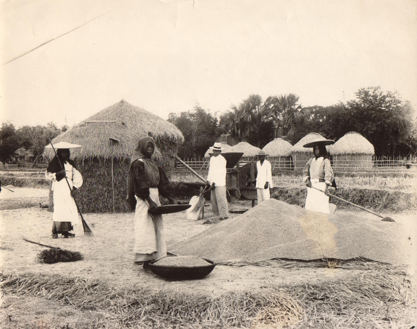 Threshing and cleaning rice. Bigas [Bigaa, now Balagtas], Bulcan.