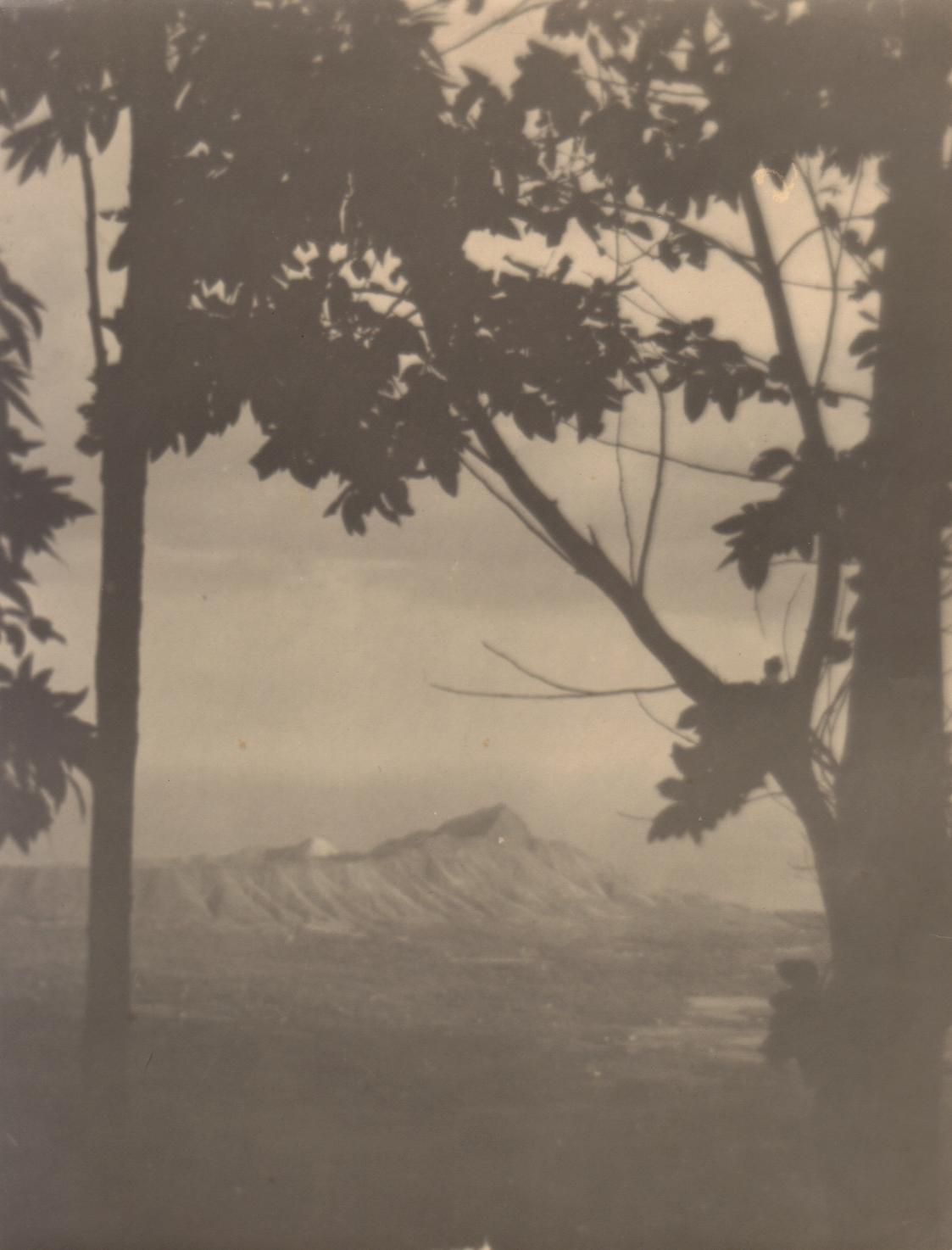 [Untitled – Mountain seen through trees].