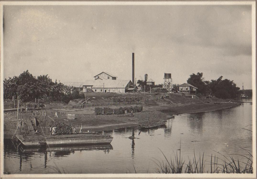 [Untitled – Unloading sugarcane at a sugar factory – Negros?].