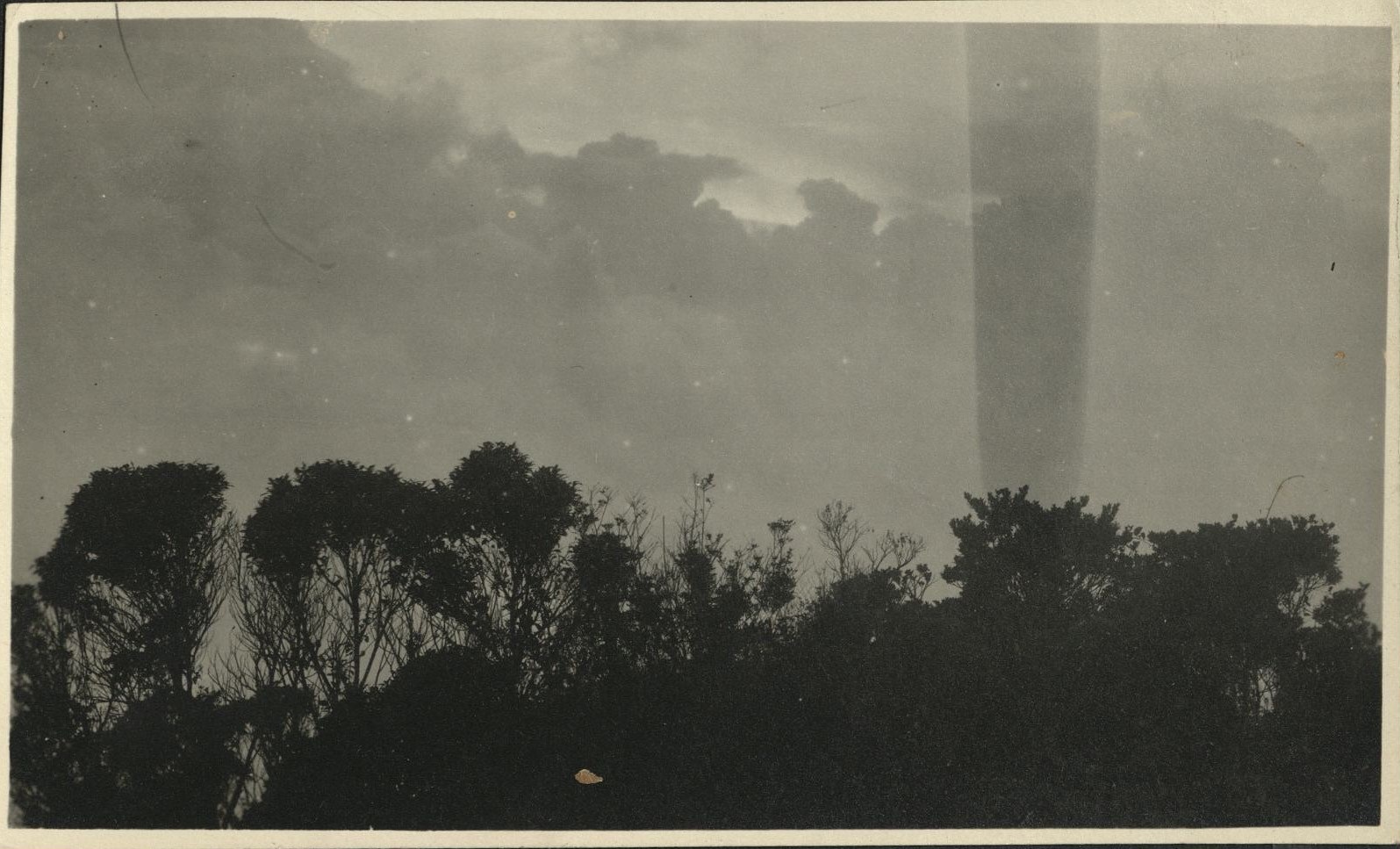 [Untitled – Clouds, trees, and a sunset].