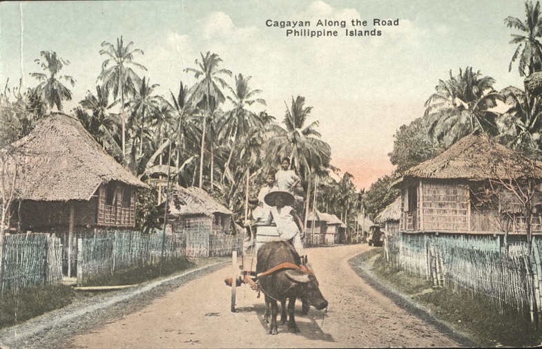 A Philippine Tobacco Field.