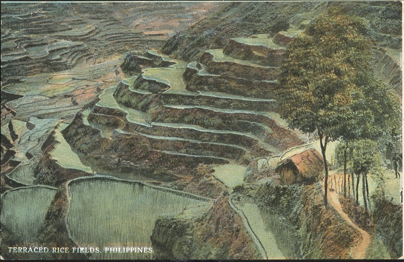 Terraced Rice Fields. Philippines.